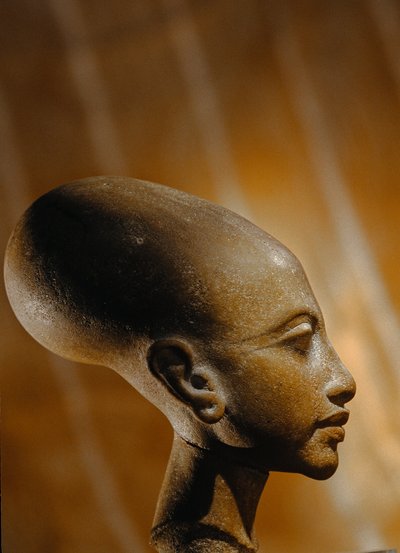Samengesteld stenen hoofd van een prinses uit Amarna, een uitgebreide Egyptische archeologische..., 2009 (foto) door Kenneth Garrett