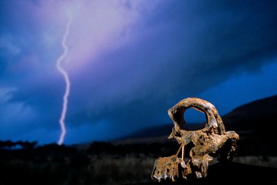 DOH; De Eerste Stappen, Gebroken Schedel, STW 847, Bliksem, Hoogveld, Swartkrans, Zuid-Afrika door Kenneth Garrett