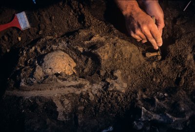 Dmanisi, Georgië, David Lordkipanidze, Homo Erectus door Kenneth Garrett