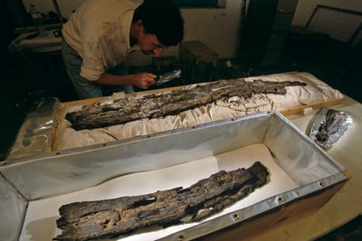 Dr. Matthew Adams inspecteert houten bootplank in laboratorium, hardhout, niet ceder, uit Abydos, Egypte door Kenneth Garrett