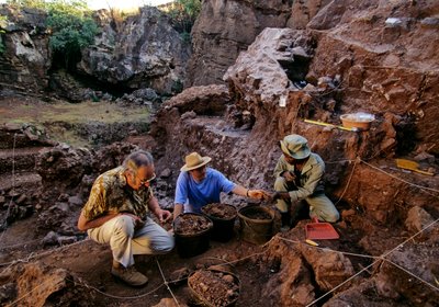 Drimolean Site, nabij Johannesburg, Zuid-Afrika, 2 miljoen jaar oude hominide door Kenneth Garrett