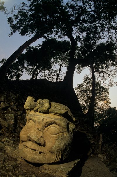 God N, Ceiba-boom, tempel, Maya, Copan, Honduras, Klassieke periode door Kenneth Garrett