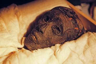 Mummiehoofd en gezicht van Koning Toetanchamon door Kenneth Garrett