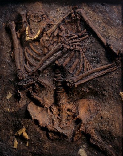 Neanderthaler, geschilderde afgietsel, Kebara grot, Karmelberg, "Moshe", ca. 60.000 BP, Israël door Kenneth Garrett