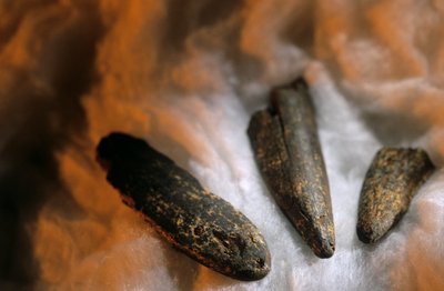 Geslepen botpunten gebruikt voor graven, Van Drimolean Site, nabij Johannesburg, Zuid-Afrika door Kenneth Garrett
