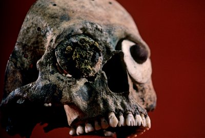 Schedel met gevijlde tanden, Azteken, Mexico, Templo Mayor, 2010 door Kenneth Garrett
