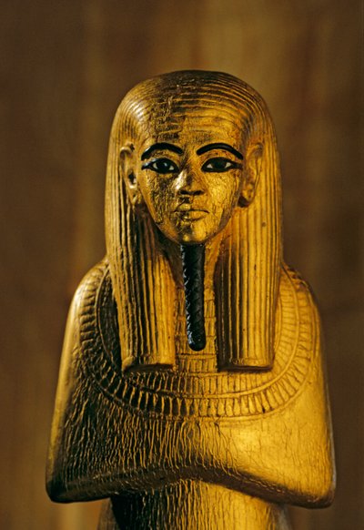 Beeld van Duamutef; Goud; hout, KV 62. Duamutef was, in de oude Egyptische religie, 2009 (foto) door Kenneth Garrett