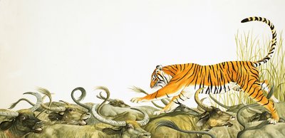 Een tijger die langs de ruggen van buffels rent door Kenneth Lilly