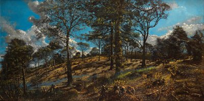 Bigbury Wood door Kenneth Newton