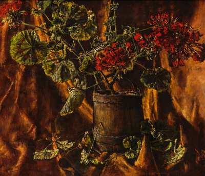 Stilleven met Begonia
