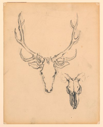 Studie van Hertenkop door Kenyon Cox