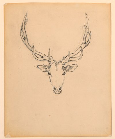 Studie van hertenkop door Kenyon Cox