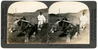 Landbouw nabij Seoul, Zuid-Korea, 1900s door Keystone View Company