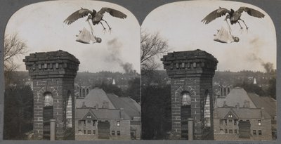 In vroegere tijden, als mensen goed waren, bracht de ooievaar een lieve en mooie baby, 1907 door Keystone View Company