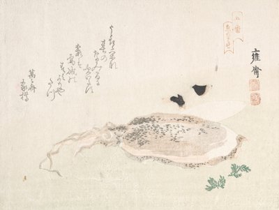 Zeekat, begin 19e eeuw door Kikuchi Yosai
