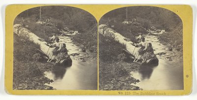 De kabbelende beek, 185575. Makers: Kilburn Brothers, BW Kilburn door Kilburn Brothers, BW Kilburn