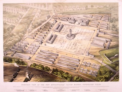 Metropolitan veemarkt, Londen, 1855 door King