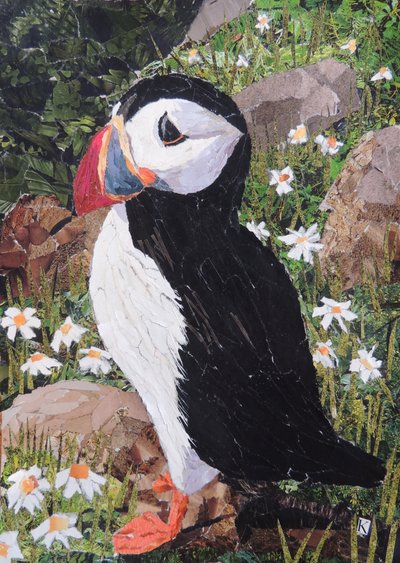 Papegaaiduiker door Kirstie Adamson
