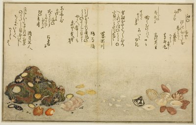 Ashi-gai, hamaguri, ko-gai, suzume-gai, akoya-gai, en katashi-gai, uit het geïllustreerde boek "Giften van de Eb (Shiohi no tsuto)" door Kitagawa Utamaro