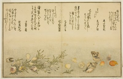 Beni-gai, hora-gai, urauzu-gai, wasure-gai, chiyonohana-gai, en masuho-gai, uit het geïllustreerde boek "Giften van de Eb (Shiohi no tsuto)" door Kitagawa Utamaro