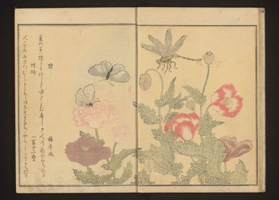 Vlinders en libel bij klaprozen door Kitagawa Utamaro