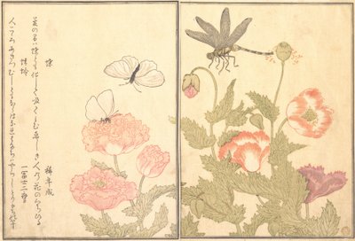 Vlinder Cho, Libelle Kagero of Tonbo door Kitagawa Utamaro