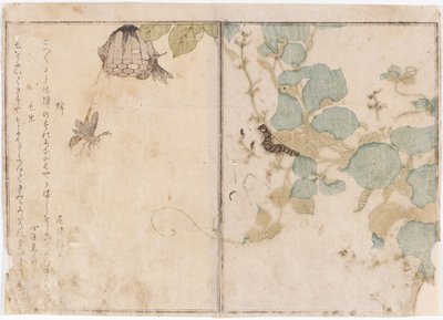  door Kitagawa Utamaro