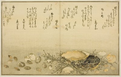 Chidori-gai, itaya-gai, awabi, utsuse-gai, asari-gai, en monoara-gai, uit het geïllustreerde boek 