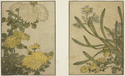 Chrysant en Narcis, uit het geïllustreerde boek "Prentenboek: Bloemen van de Vier Seizoenen (Ehon shiki no hana)," deel 2 door Kitagawa Utamaro