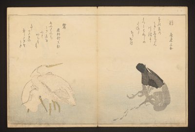 Aalscholver en reiger door Kitagawa Utamaro