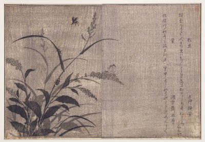 Krekel en vuurvliegjes, 1788 door Kitagawa Utamaro