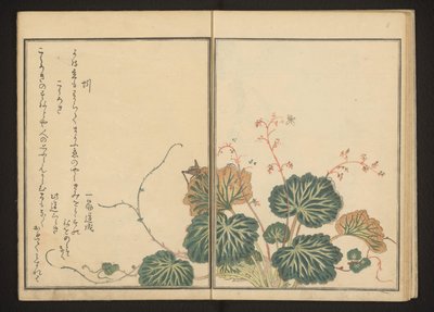 Aarde worm en zwarte krekel op kruipende steenbreek door Kitagawa Utamaro