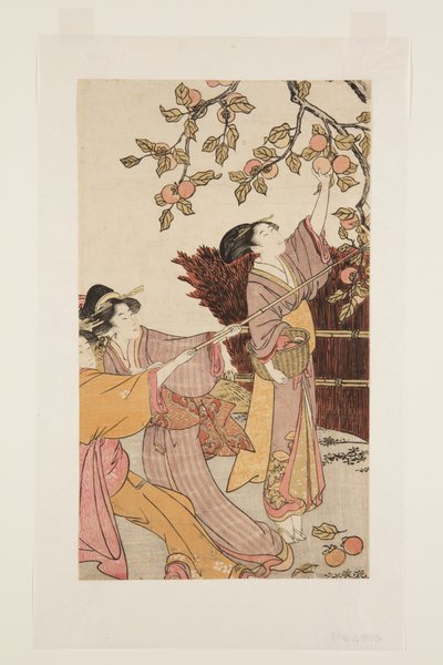 Persimmons verzamelen door Kitagawa Utamaro