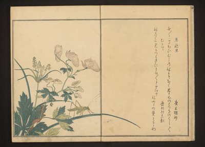 Sprinkhaan en duizendpoot op monnikskapplant door Kitagawa Utamaro