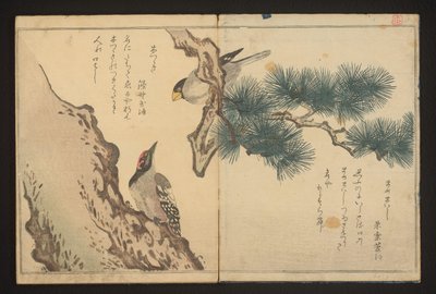 Grosbeak en specht door Kitagawa Utamaro