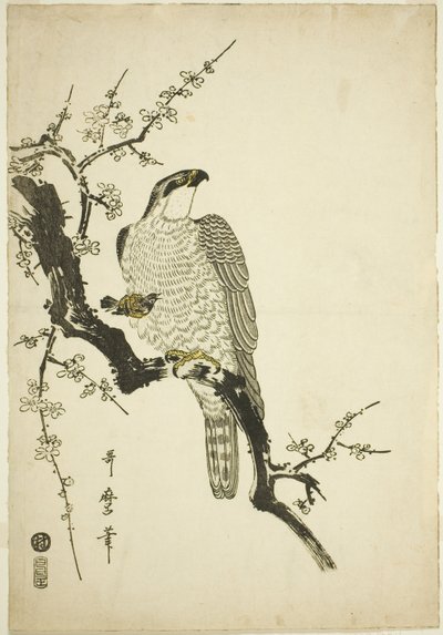 Havik op een pruimentak door Kitagawa Utamaro