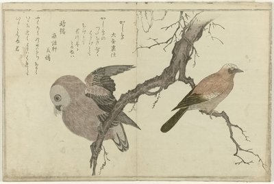 Gaai en uil door Kitagawa Utamaro