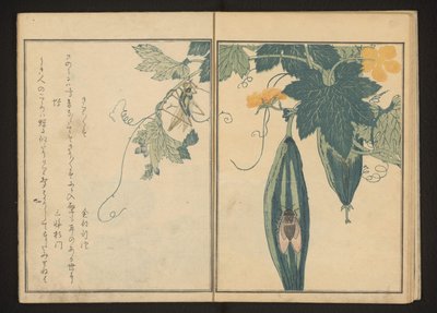 Katydid en cicade op kalebas door Kitagawa Utamaro