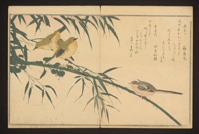 Staartmees en witte oog door Kitagawa Utamaro