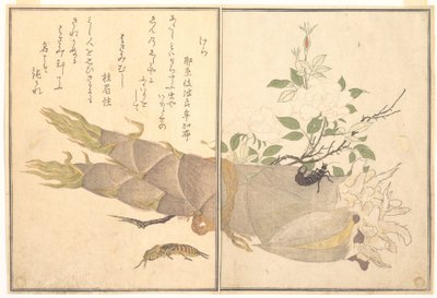Molkrekel (Kera); Oorworm (Hasami-mushi), uit het prentenboek over kruipende beestjes (Ehon mushi erami) door Kitagawa Utamaro
