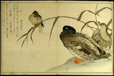 Myriade vogels: Een kyokawedstrijd (Momo chidori kyoka awase) door Kitagawa Utamaro