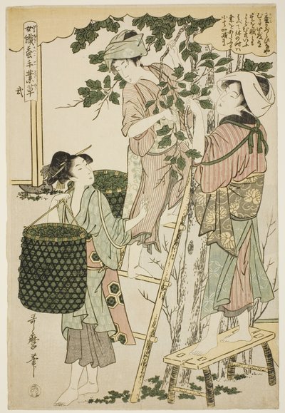 Nr. 2 (ni), uit de serie "Vrouwen Betrokken bij de Zijderupsindustrie (Joshoku kaiko tewaza-gusa)" door Kitagawa Utamaro