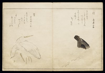 P.332-1946 Vol.1 f.4 Aalscholver rechts en twee sneeuwreigers links, uit een album 