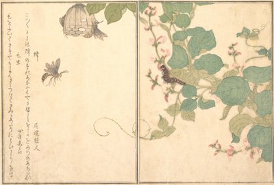 Papierwesp Hachi, harige rups Kemushi..., 1788 door Kitagawa Utamaro