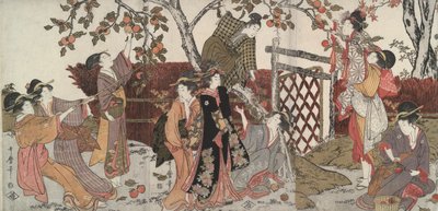 Persimmonplukkers door Kitagawa Utamaro