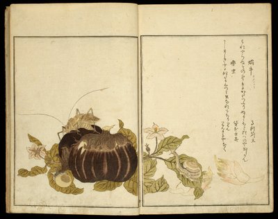Prentenboek: Uitgelezen insecten (Ehon mushi erabi) door Kitagawa Utamaro