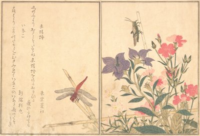 Rode libel Akatonbo, sprinkhaan Inago..., 1788 door Kitagawa Utamaro