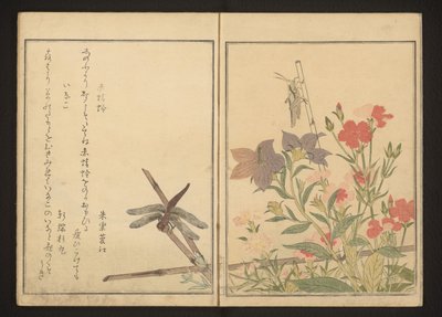 Rode libel en sprinkhaan bij anjers door Kitagawa Utamaro