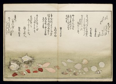 Shiohi no tsuto (Geschenken van de Eb), bekend als het Schelpenboek, 1789 door Kitagawa Utamaro