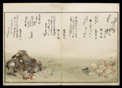 Shiohi no tsuto (Geschenken van de Eb), bekend als het Schelpenboek, 1789 door Kitagawa Utamaro